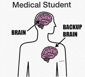 Brain - MEDizzy