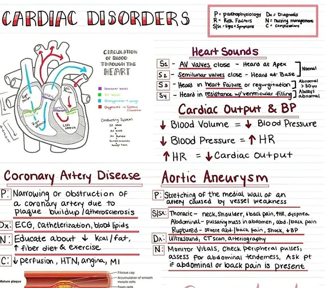 Cardiac Disorders - MEDizzy