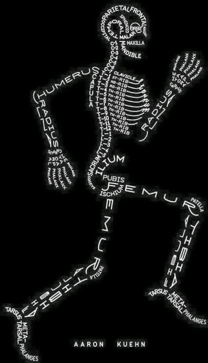 LETTER'S TO CONTROL THE HUMAN SKELETON