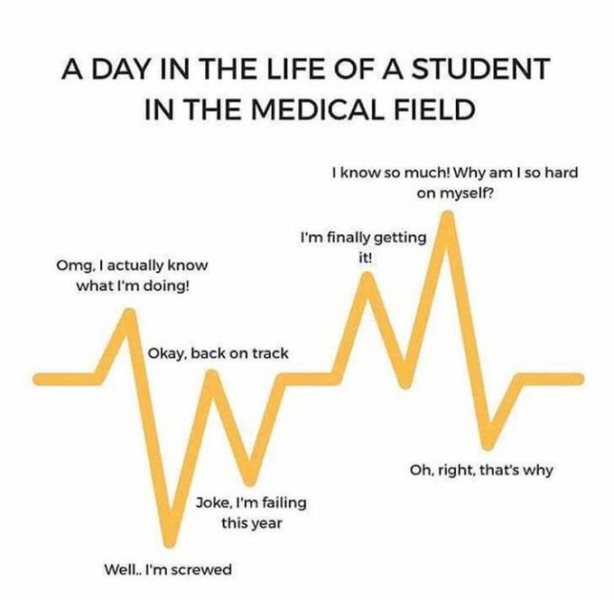 A day in the life of medical student