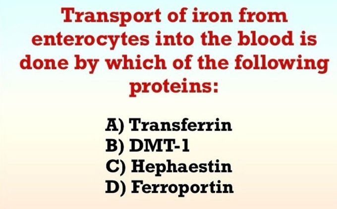 Identify the Protein