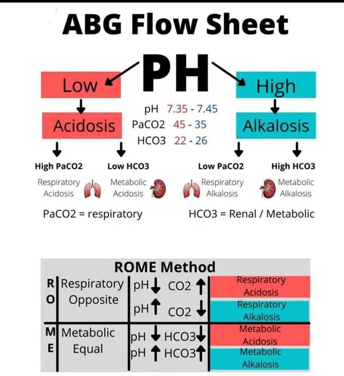 ABG Flow Sheet (ph)