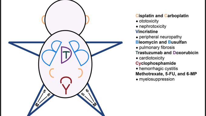 Certain Chemotoxicities.