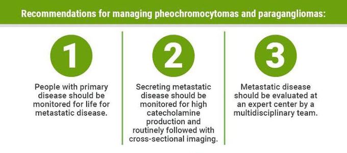 These are some recommendations for managing paraganglioma