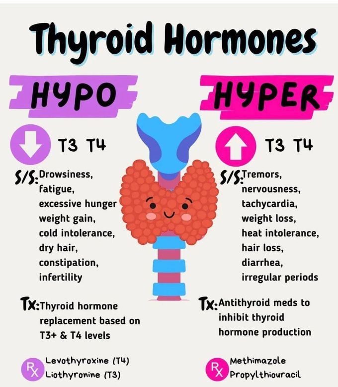 Thyroid Hormones