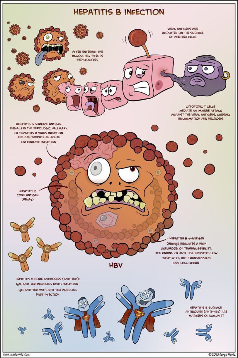 Hbc гепатит. Гепатит b рисунок. Вирус гепатита в.