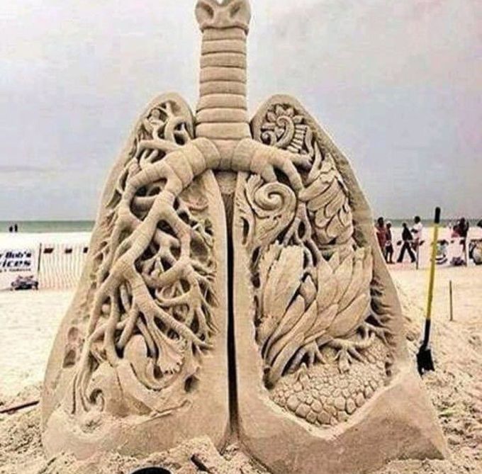 Which system do u see. ?