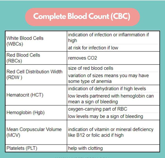 Complete Blood Count