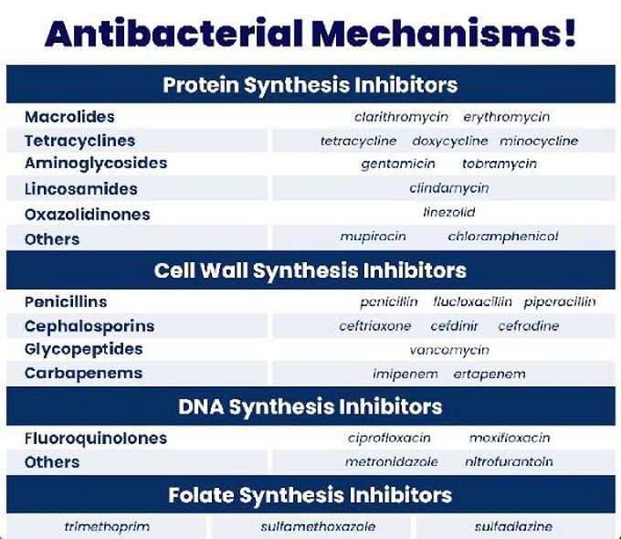 Antibiotics Mechanisms