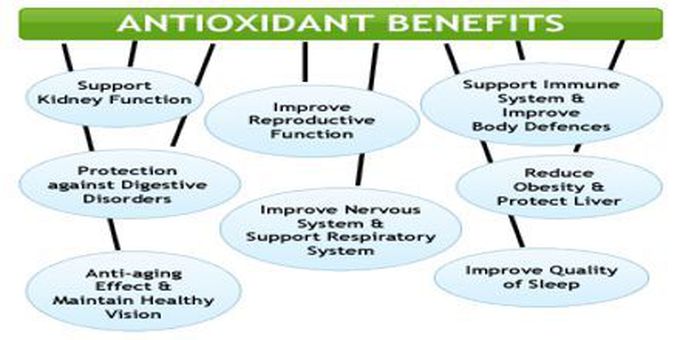 Antioxidant ~ An antioxidant is a substance which slowsdown the damage that can be caused to other substances by the effects of oxygen.