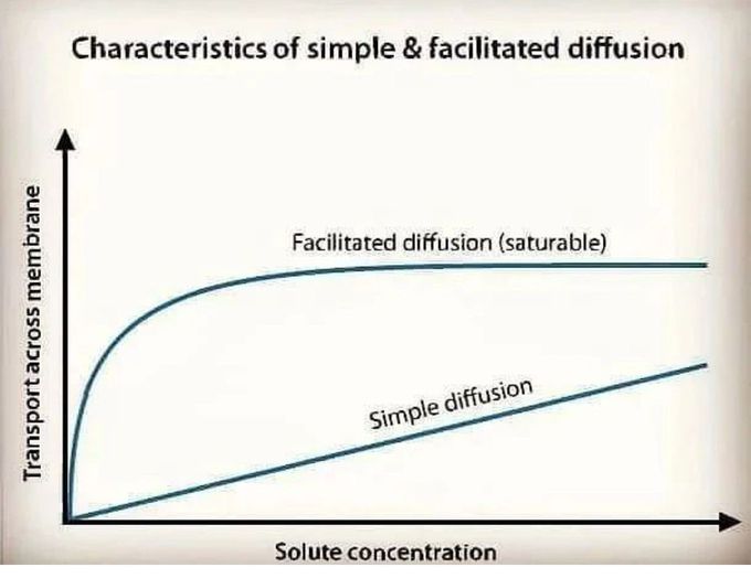 Diffusion