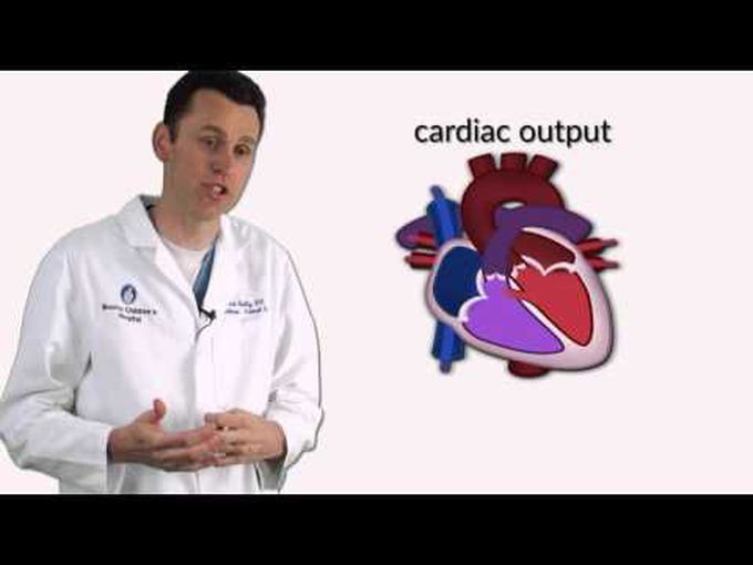 Overview of Ventricular Septal Defects