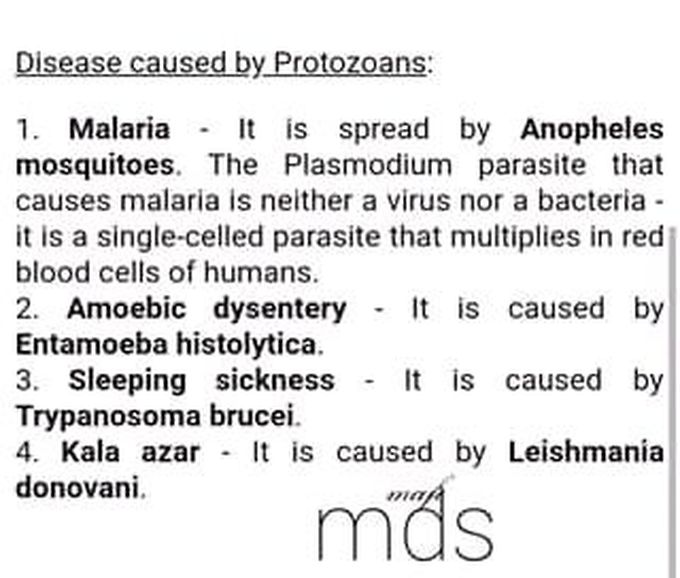 Diseases caused by protozoas