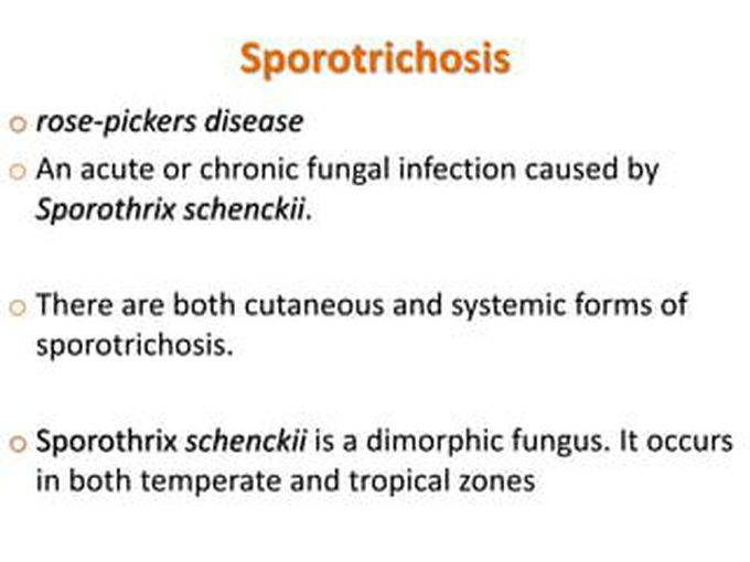 Sporotrichosis