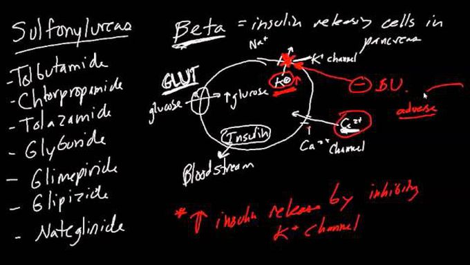 Diabetes Drugs Made Simple