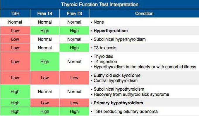 thyroid-function-test-interpretation-medizzy