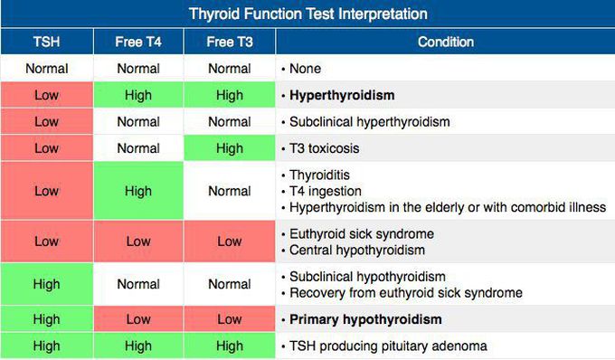 Thyroid Function Test Interpretation