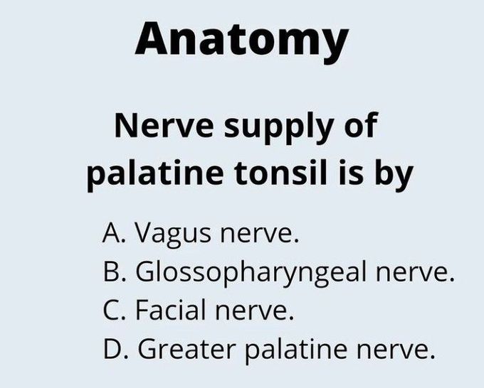 Nerve supply of Palatine tonsils