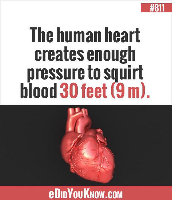 heart