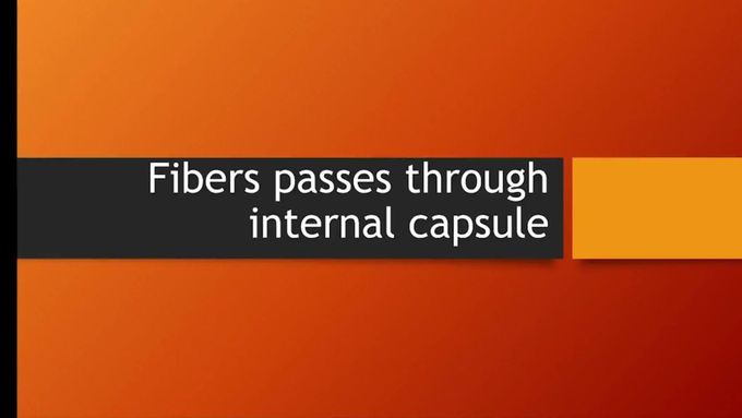 Flashcard- fibers passes through internal capsule