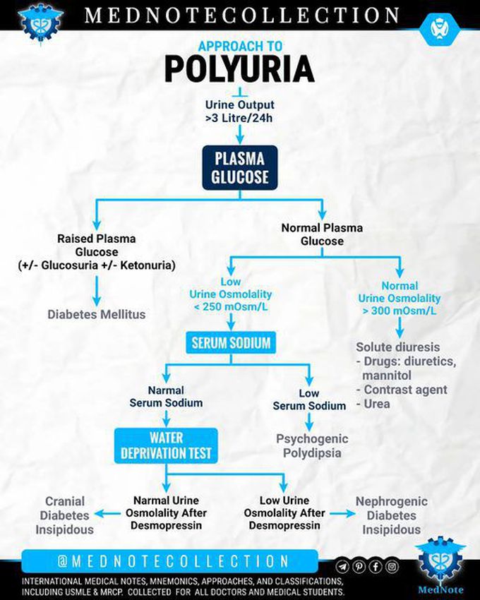 APPROACH TO 🧠 POLYURIA