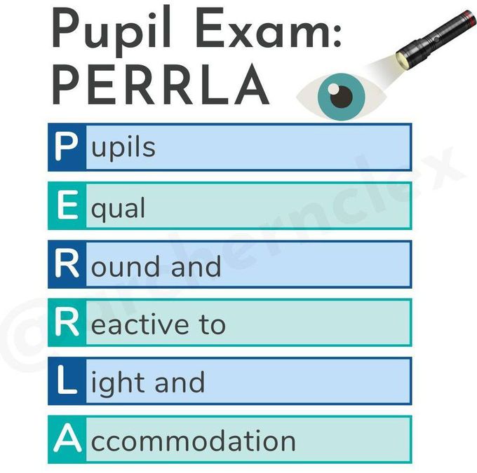 Pupil Exam