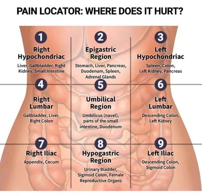 Pain Locators