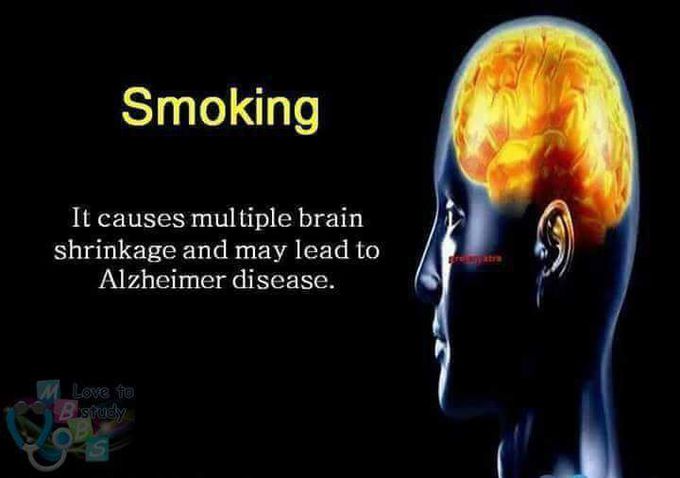 Facts About Human Brain