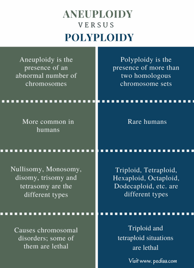 Aneuploidy and Polypoidy