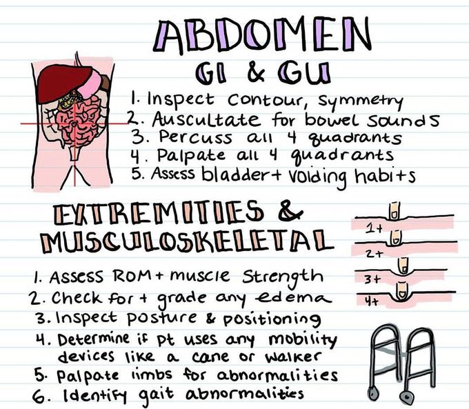 Abdominal Examination