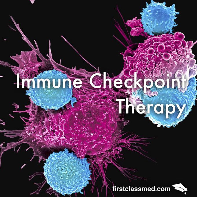 Immune Checkpoint Therapy - Rearming Our Body Against Cancer