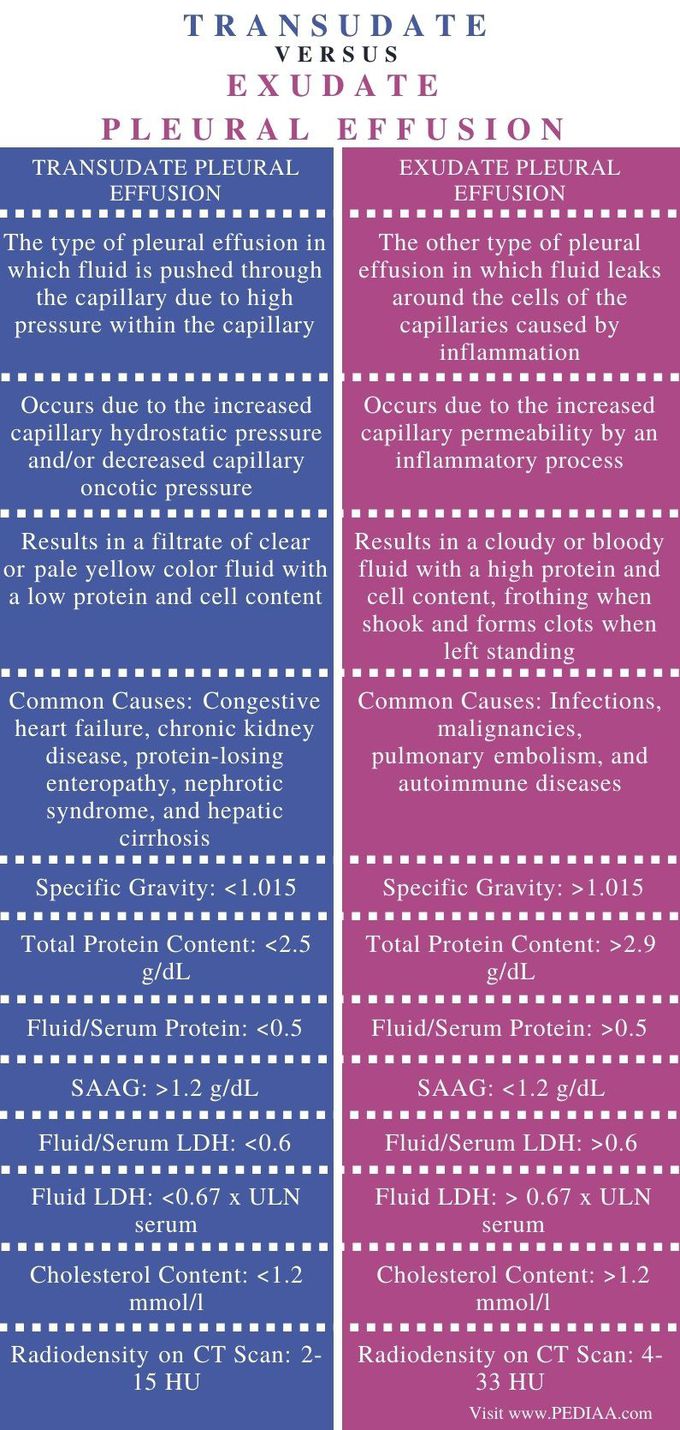 Transduate vs exduate