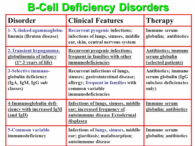 B Cell Deficiency Disorder