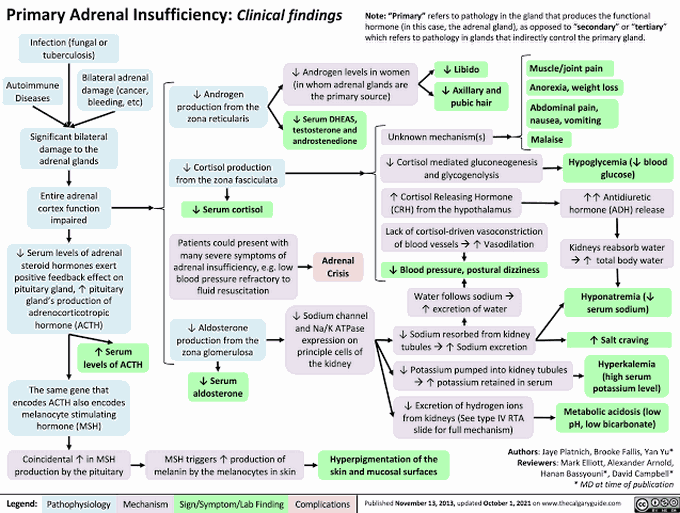 Primary Adrenal Insufficiency