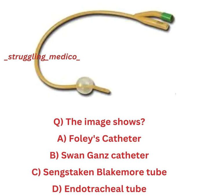 Identify the Instrument