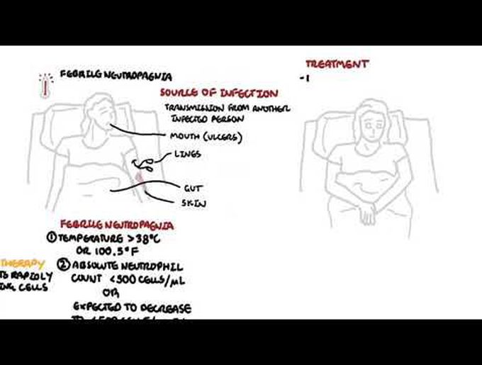 What is febrile neutropaenia (neutropenia)? - neutrophil function, pathophysiology, treatment