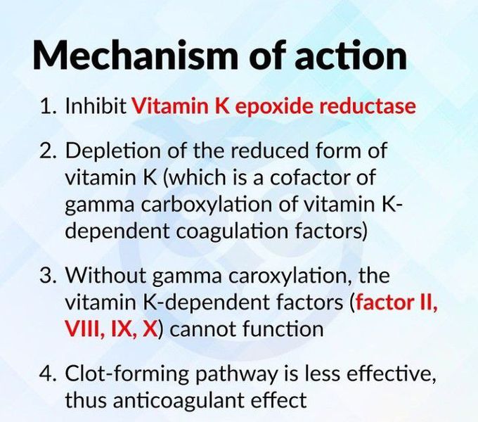 Warfarin Mechanism Of Action Animation