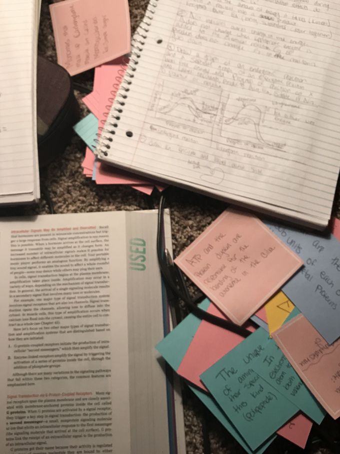 Midterm prep