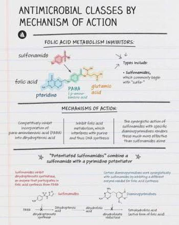 Sulfa drugs