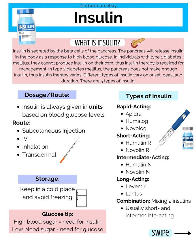What is Insulin?