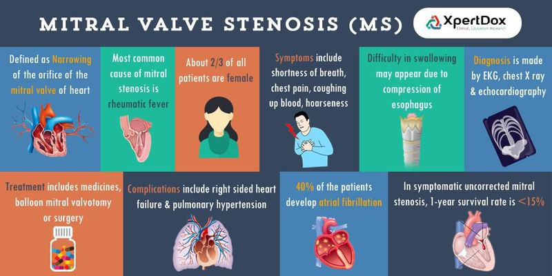 Valvular Heart Diseases Medizzy