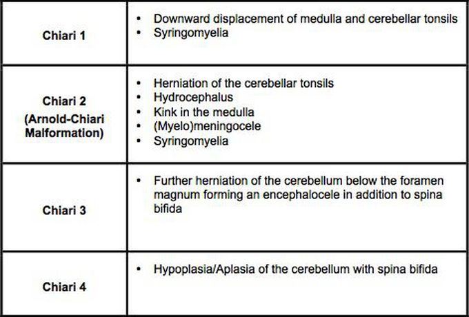 Types of Arnold Chiari Malformation