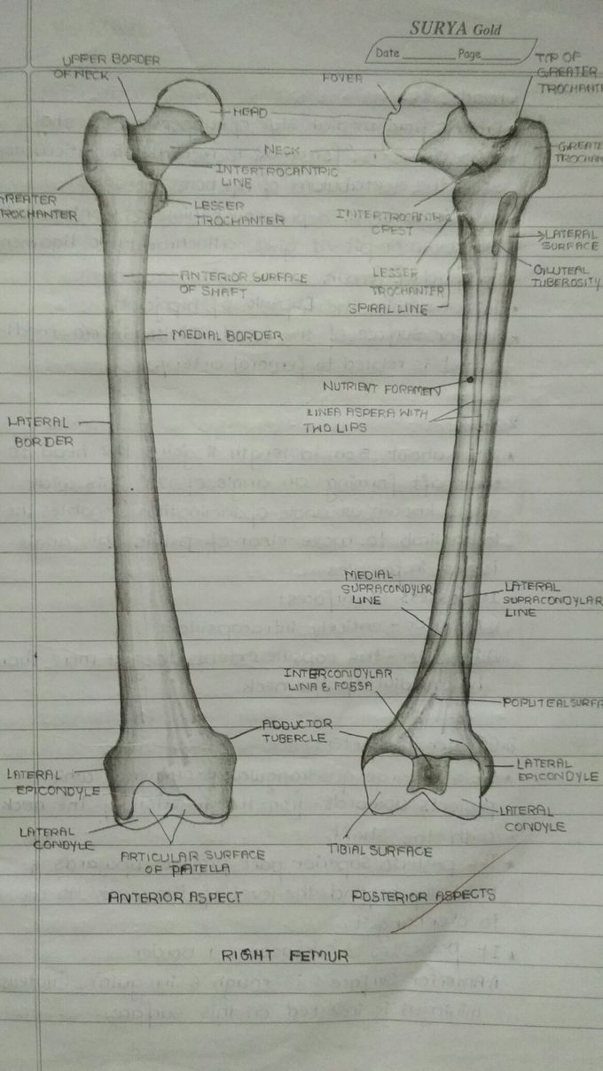 Medical students' thing...