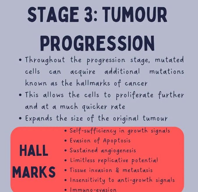 Tumor Progression Stage 3