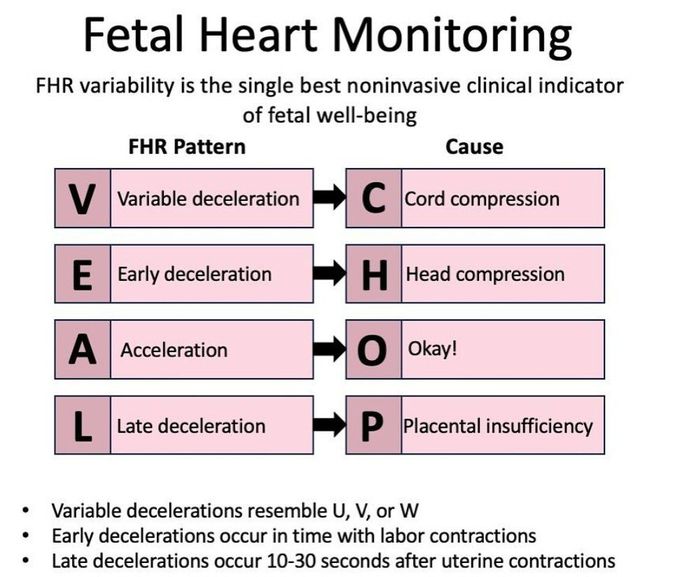 Fetal Heart Monitoring