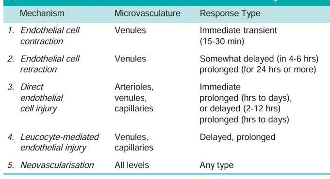 Vascular permeability