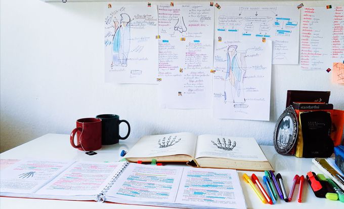 Anatomy