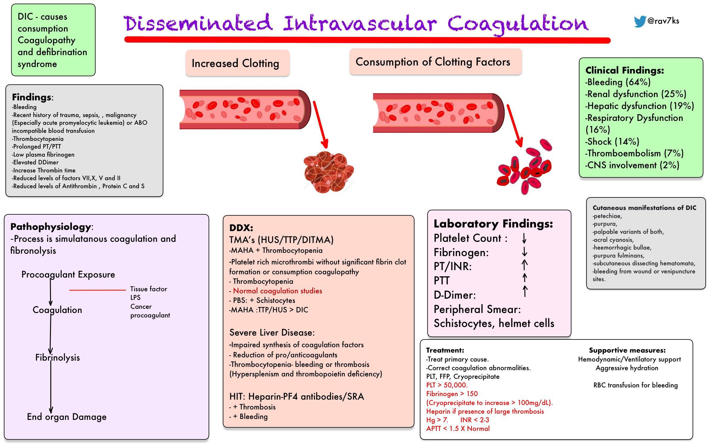 What Is The Medical Definition For Coagulation