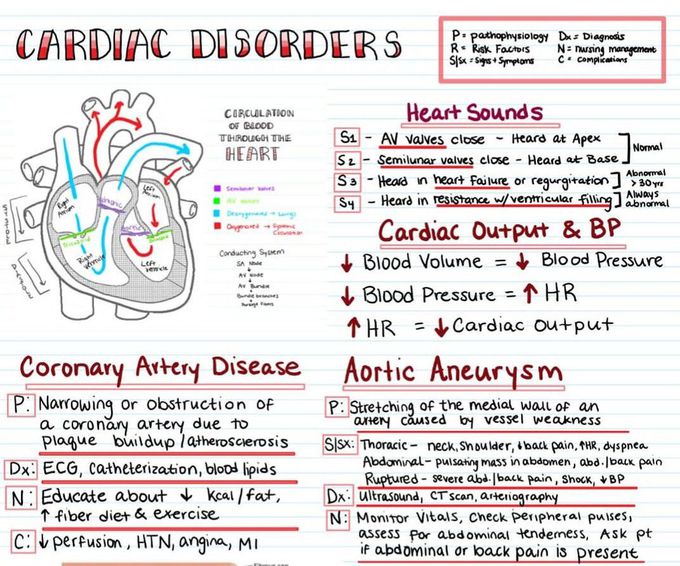 Cardiac Disorders - MEDizzy