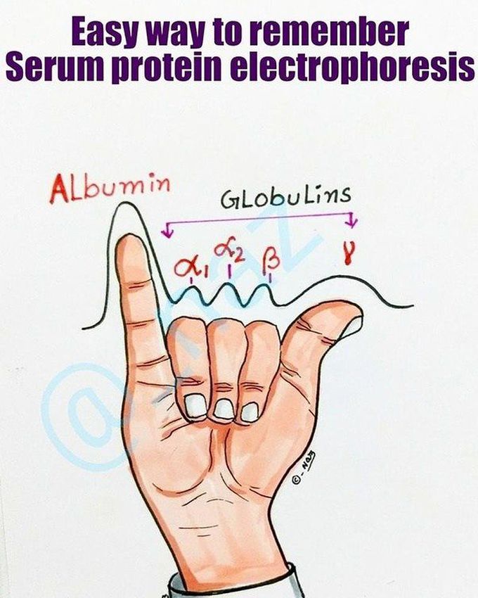 Serum Protein Electrophoresis